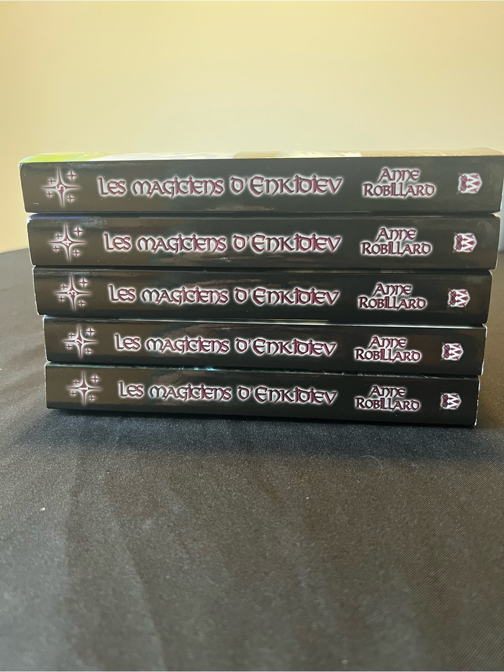 Les Magiciens d'Enkidiev Books 1-5 Bundle by Anne Robillard (French Edition)